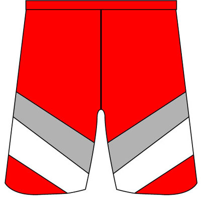 *Panelled Sportsfibre Netball Shorts